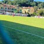 Ginestra Cerbaia7