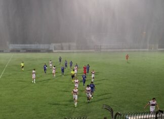 prato grassina