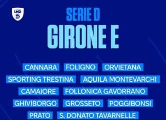serie d girone e