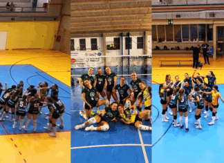Certosa Volley