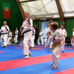 Ken Shin Kan03