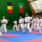 Ken Shin Kan04