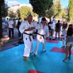 Ken Shin Kan11