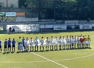 Torneo Zolfanelli
