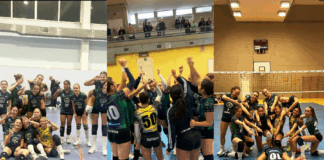 Certosa Volley, week end con due vittorie e due sconfitte: fra le due Under 18, Under 16 e Under 14