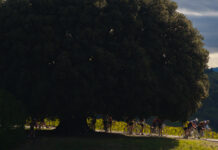 L’Eroica 2025: quasi una settimana dopo, le emozioni, le parole, i volti di una corsa sempre più speciale