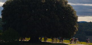 L’Eroica 2025: quasi una settimana dopo, le emozioni, le parole, i volti di una corsa sempre più speciale