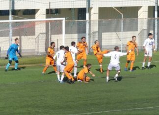 Galluzzo Novoli P1030945