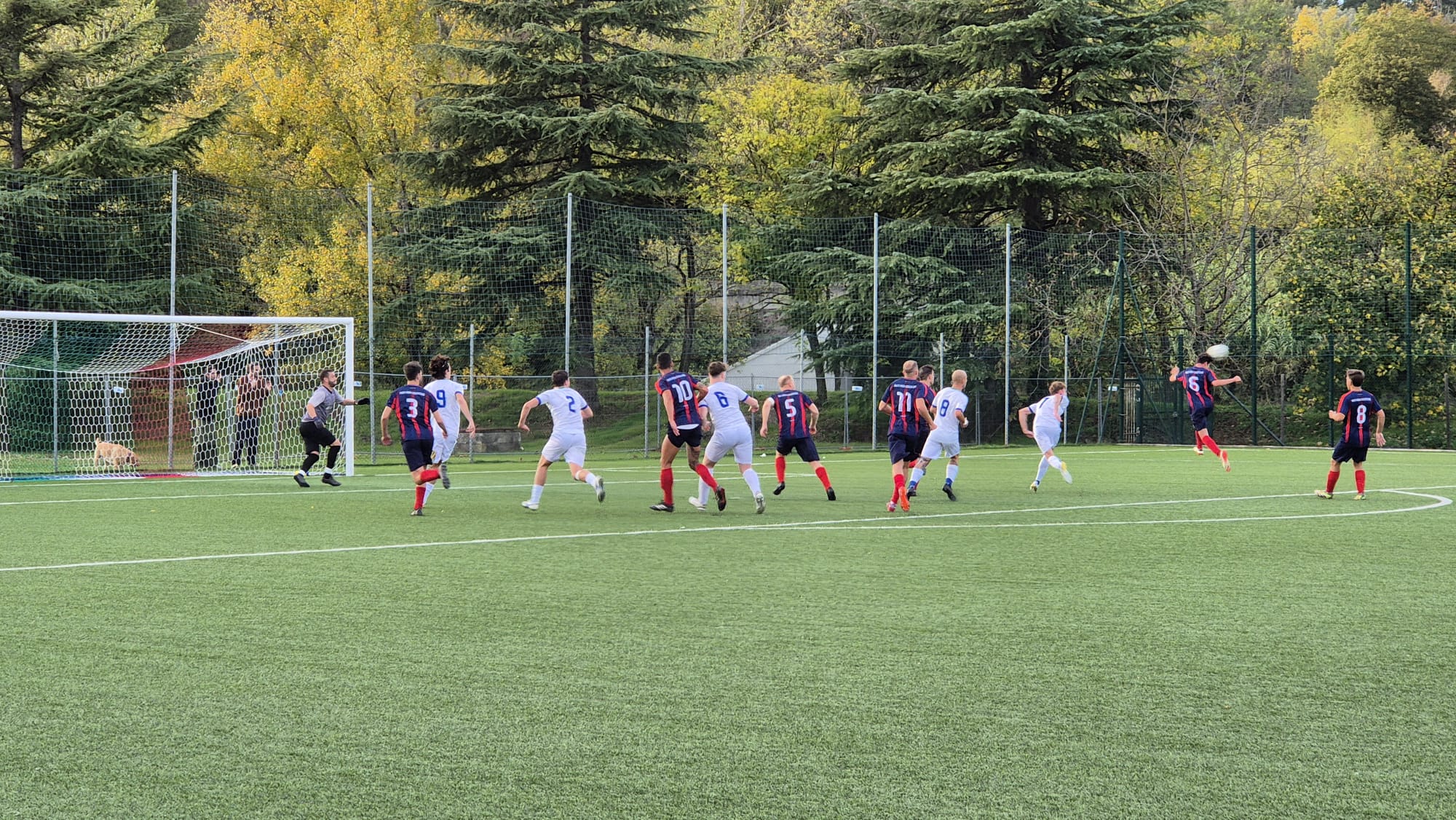 Tavarnuzze Peretola 10