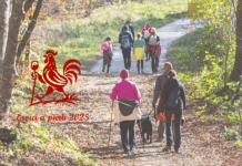 “Eroici a piedi” 2025, terza edizione dell’escursione enogastronomica a Gaiole in Chianti: il 4 e 5 ottobre