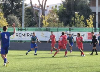 Casellina Tavarnuzze 2