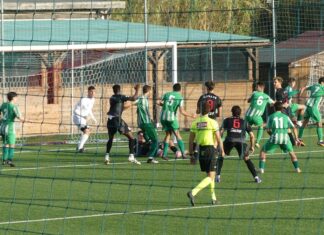 Cerbaia Colli Marittimi P1040036