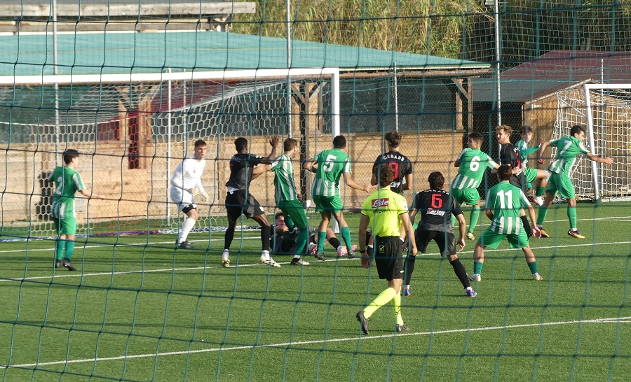 Cerbaia Colli Marittimi P1040036