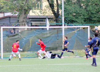 Duccio DIni Grevigiana 29