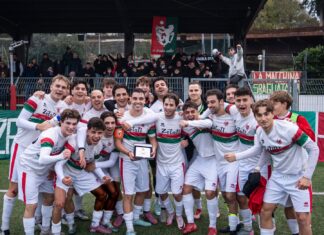 Grassina Castiglionese