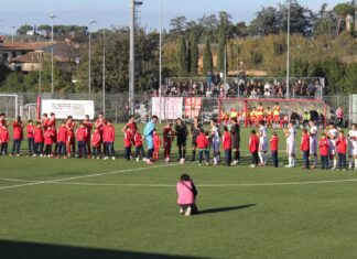 Grassina Rondinella IMG_5091