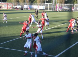 Grassina Rondinella IMG_5118