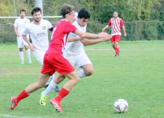 Grevigiana San Polo 21