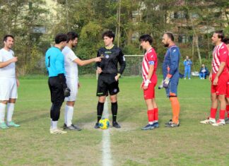 Grevigiana San Polo 47