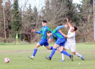 Grevigiana Tavarnuzze 11