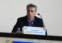 Atti di violenza nei confronti degli alberi, l’appello di Mangini: “Isolino e contrastino chi li compie”