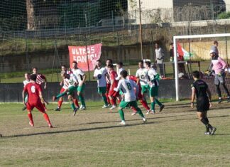 San Polo Sambuca P1040021