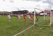 Il San Donato Tavarnelle si ferma contro il Terranuova Traiana: gli aretini vincono 1-0 al “Matteini”