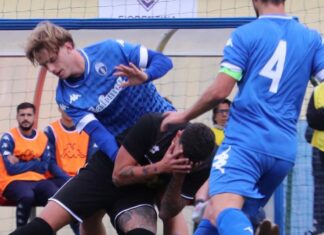 antella sangiovannese