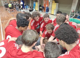 pallamano tavarnelle