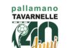 Buon 40° compleanno, Pallamano Tavarnelle! “Un traguardo importante: il futuro la nostra priorità”