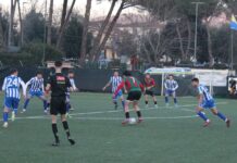 Scontri al vertice e sfide alle prime: una domenica tutta da vivere dalla Serie D alla Terza Categoria