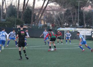 Antella Grassina IMG_5254