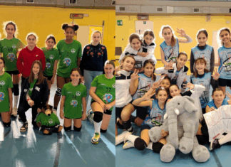 Certosa chianti under 12