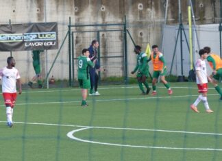 Chianti Nord Poliziana P1040109