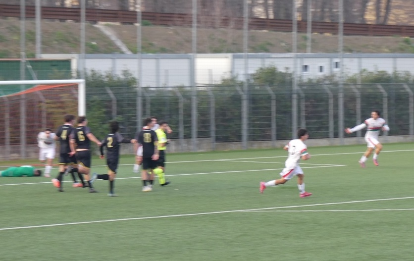 Grassina Signa P1040089