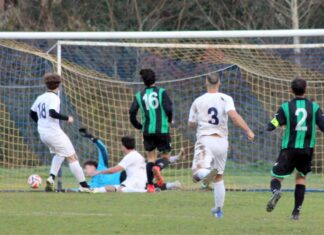 Grevigiana Staggia 14