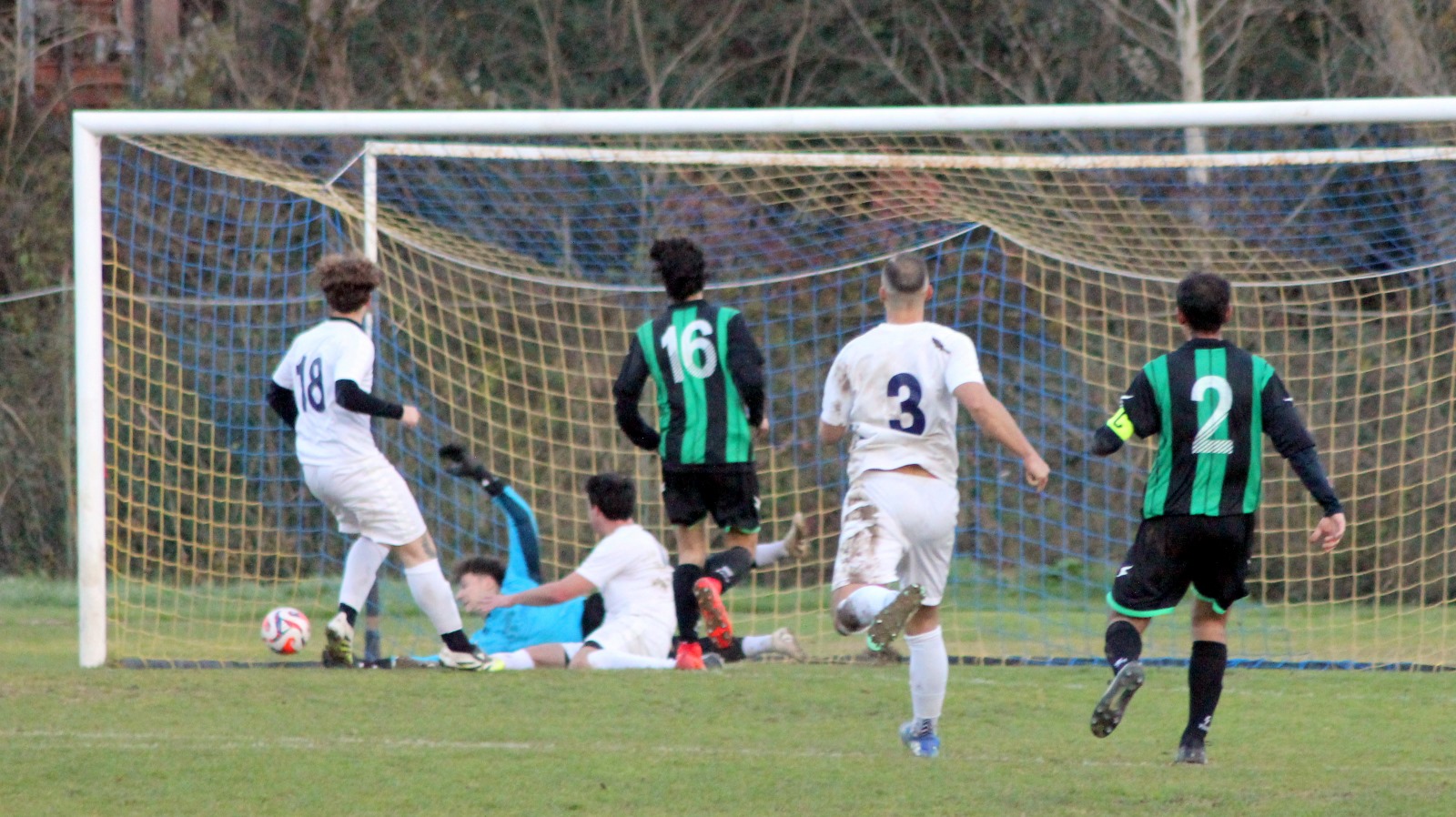 Grevigiana Staggia 14