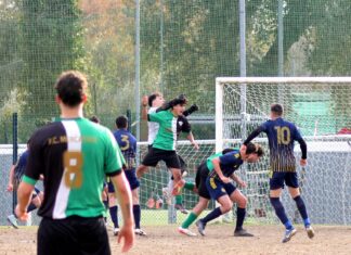 Mercatale Grevigiana 37