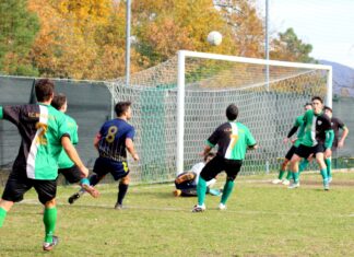 Mercatale Grevigiana 42