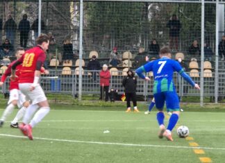 Duccio Dini Tavarnuzze 8