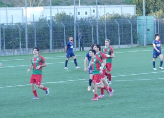 Grassina Sansovino P1040236