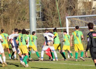 Grevigiana Castellina 3