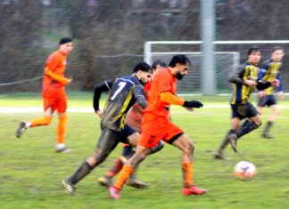 Grevigiana Sambuca 28