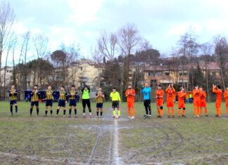 Grevigiana Sambuca 6