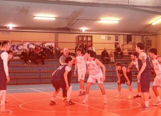 San Casciano Basket DR3