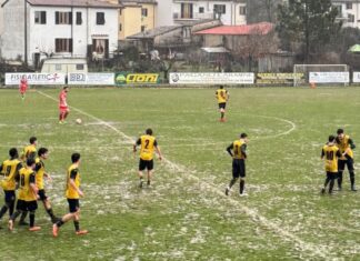 castelfiorentino ginestra