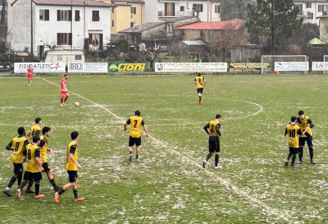 castelfiorentino ginestra