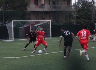 Antella Rondinella IMG_5348