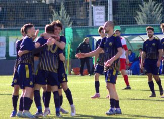 Casellina Grevigiana 15