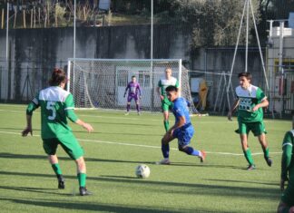 Chianti Nord Incisa IMG_5399